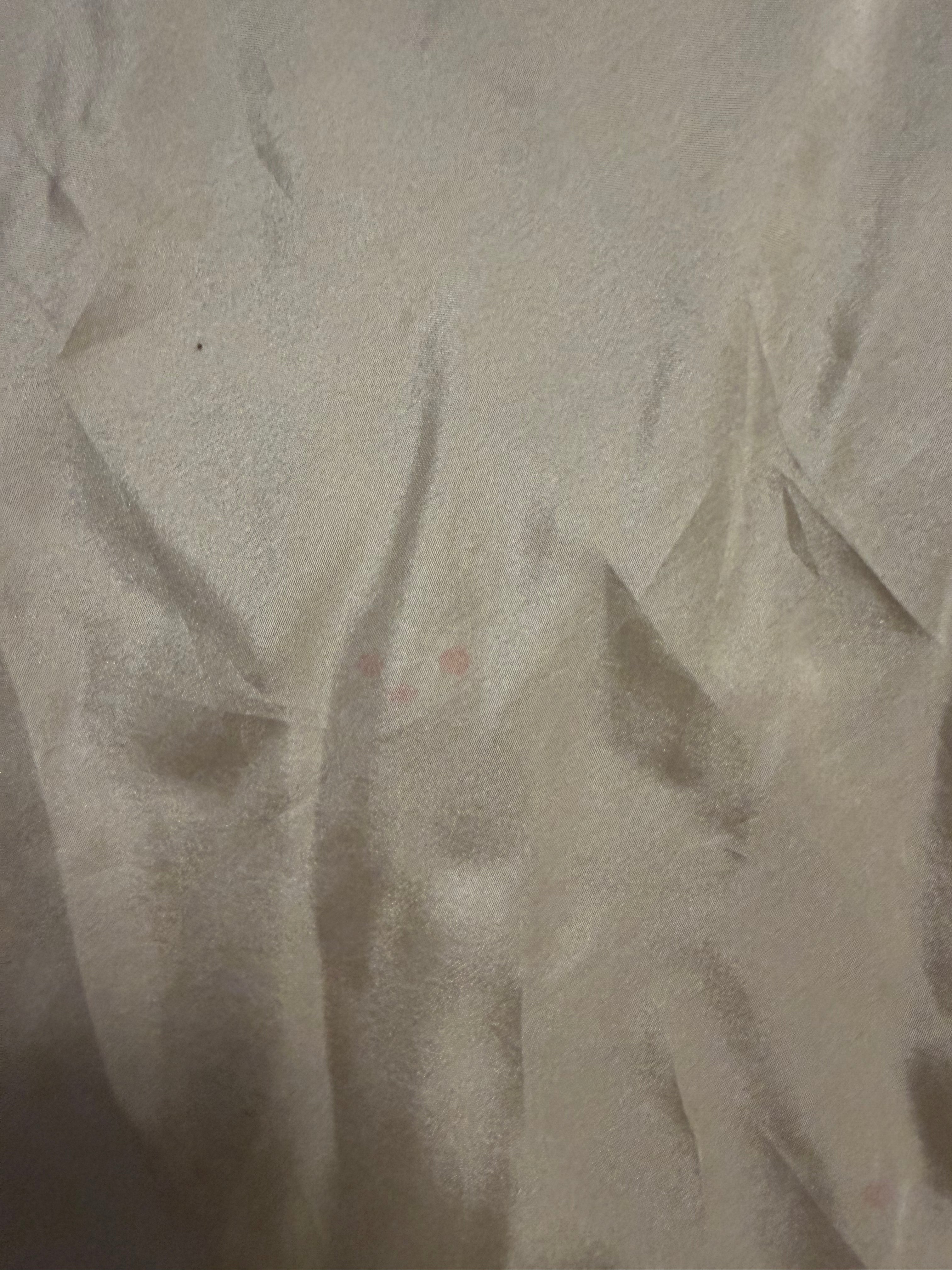 Silk Dress Sample