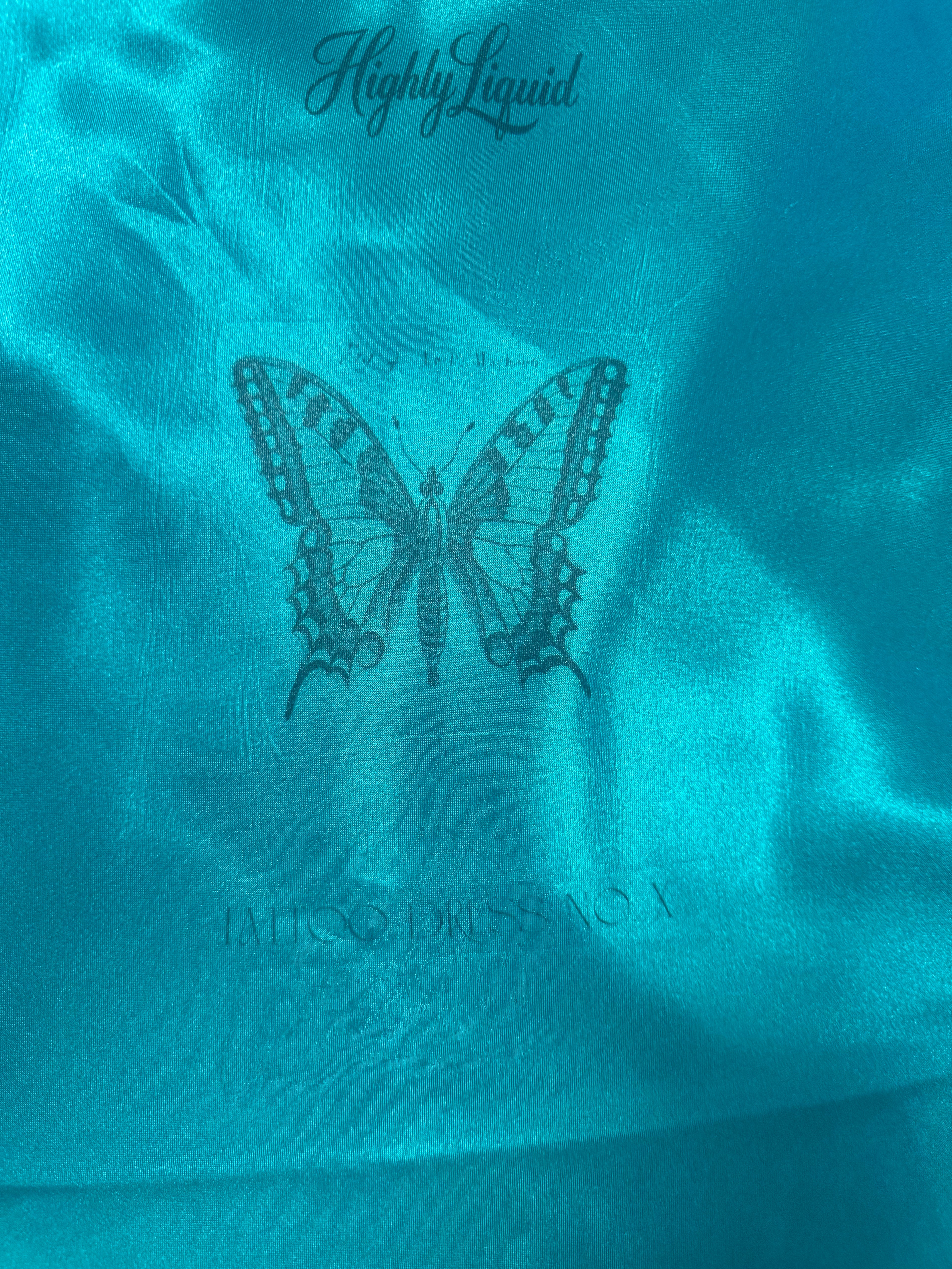 Teal Dagger Chemise