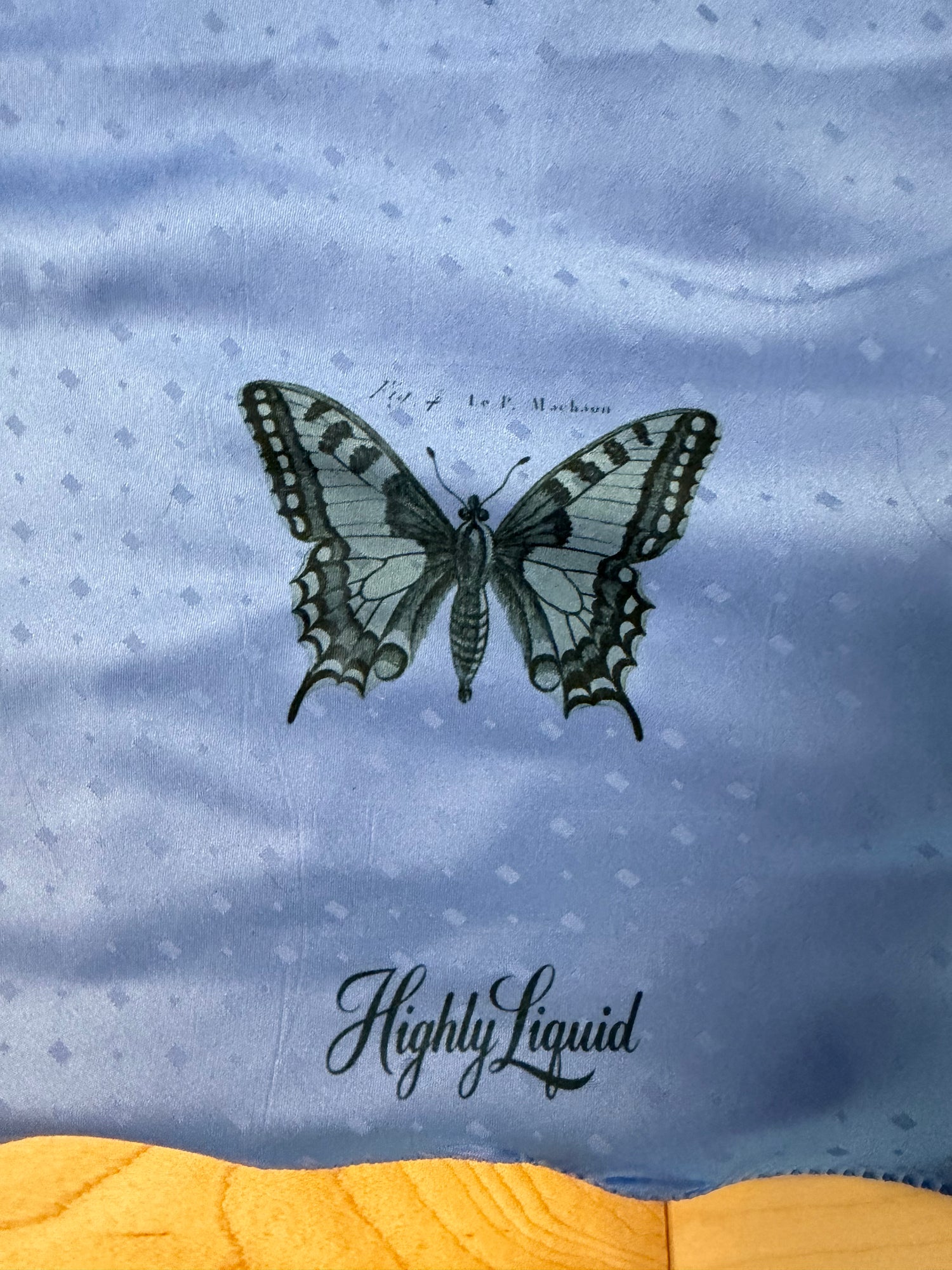 Blue Moth Cami