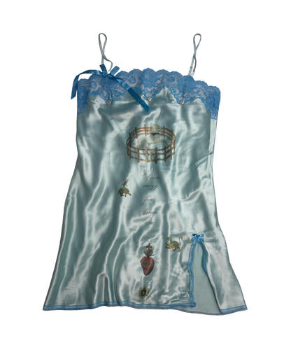 The Unicorn and the Beasts Chemise