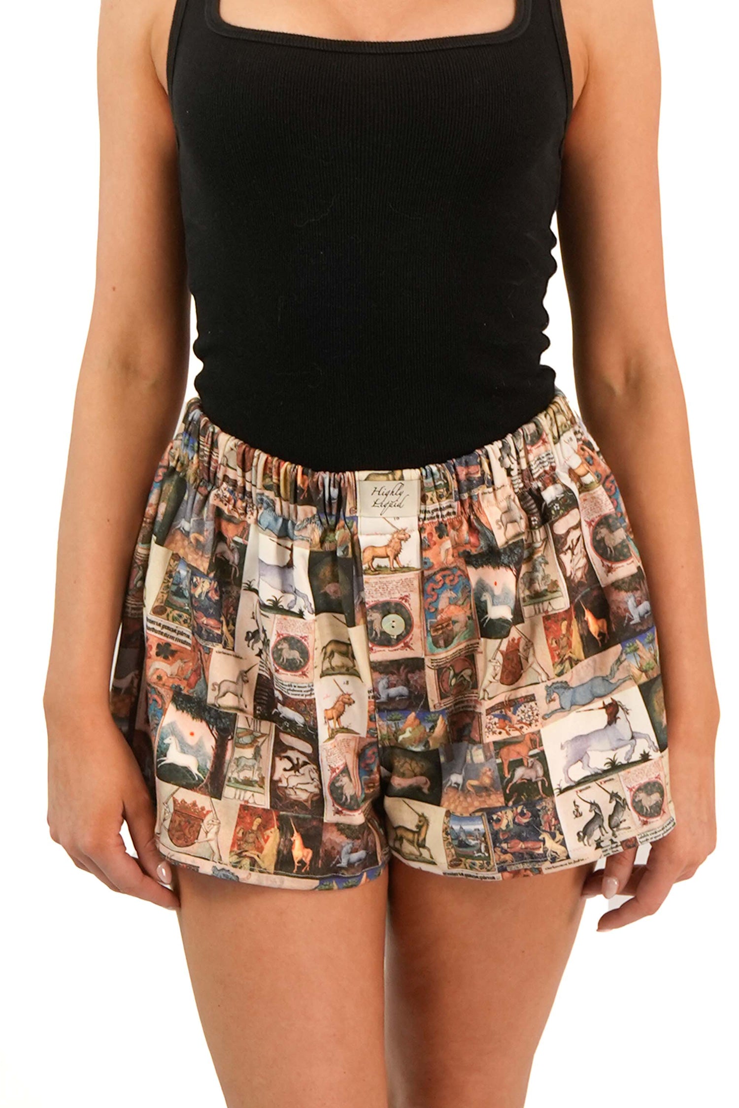 Unicorn Boxers
