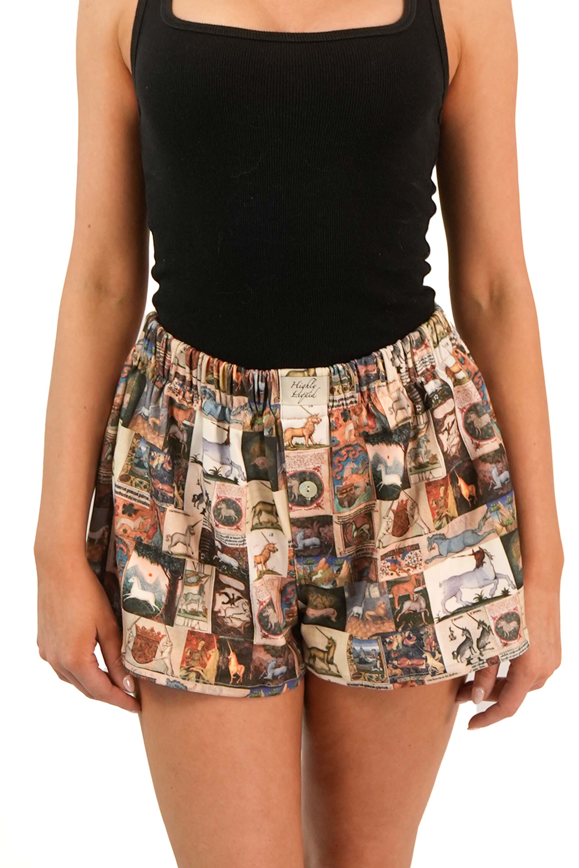 Unicorn Boxers